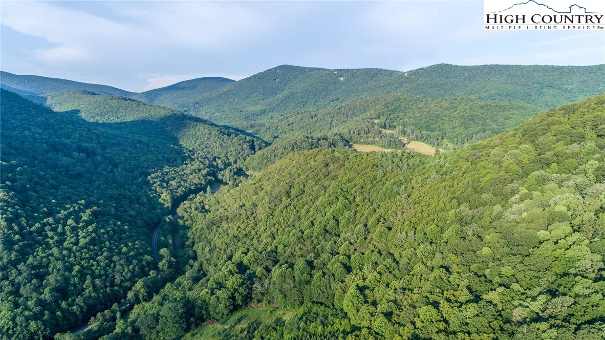 Image number 12 for the current listing