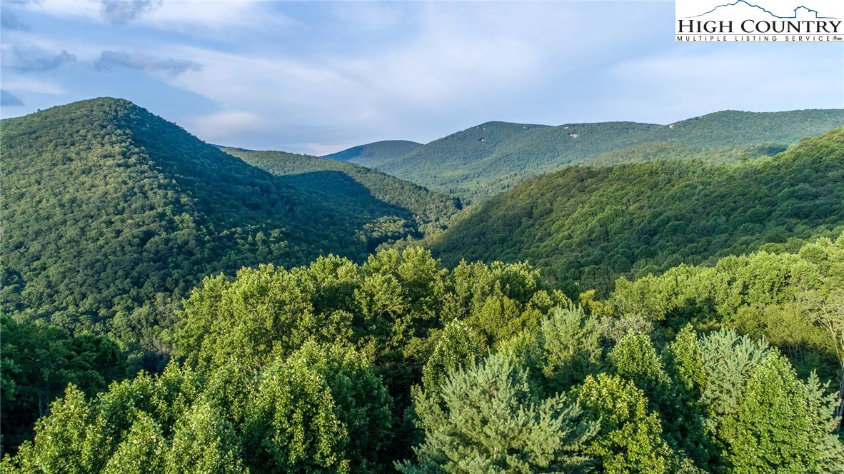 Image number 3 for the current listing