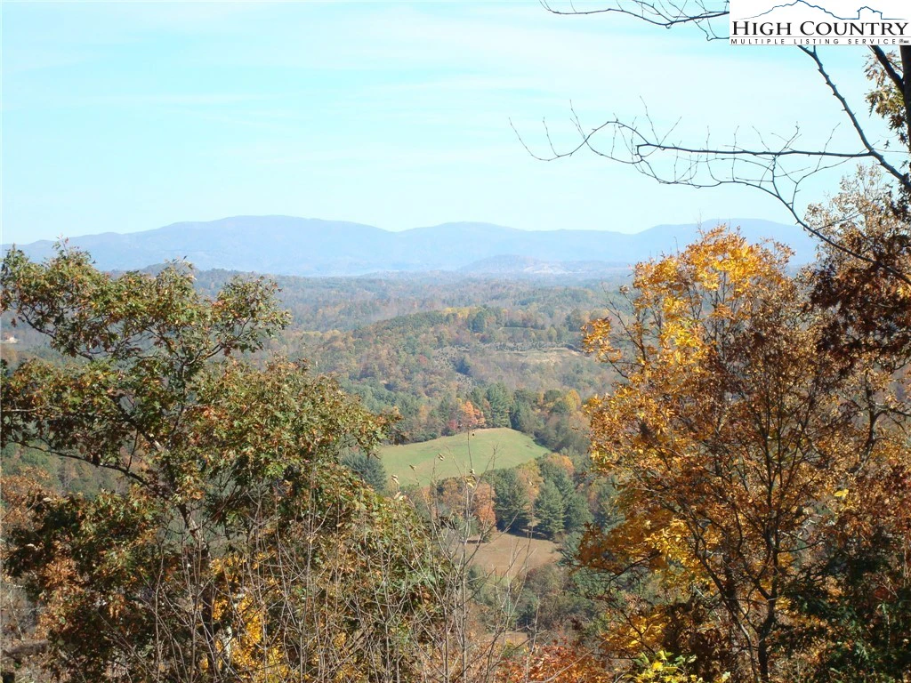 Image number 1 for the current listing