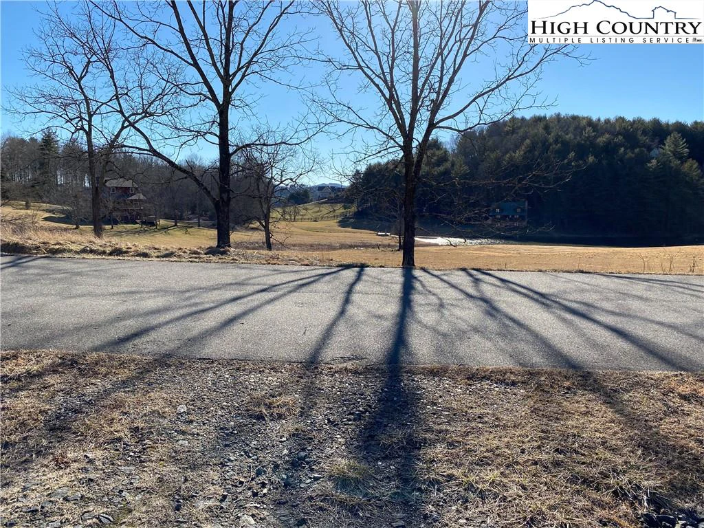 Image number 5 for the current listing
