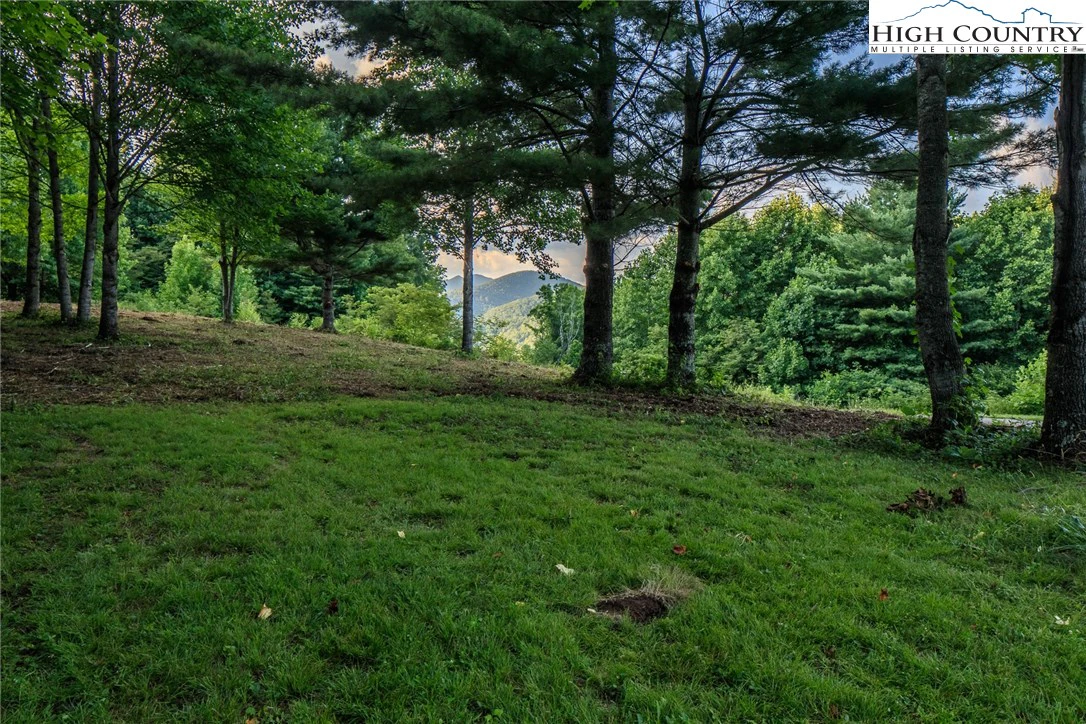 Image number 2 for the current listing