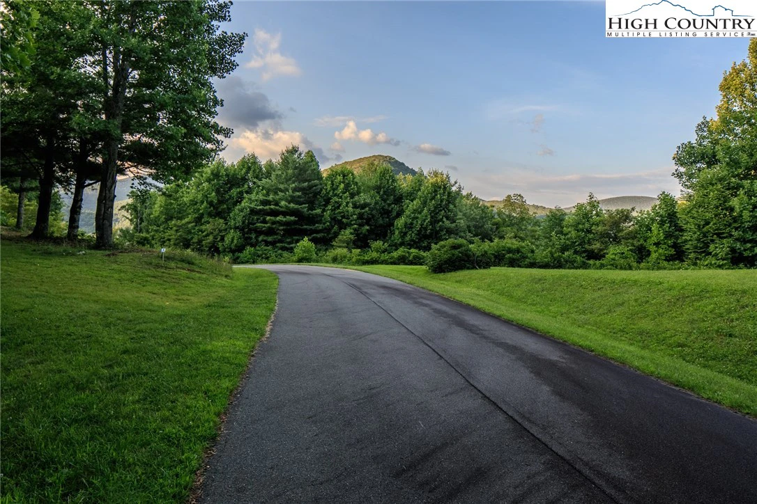 Image number 11 for the current listing
