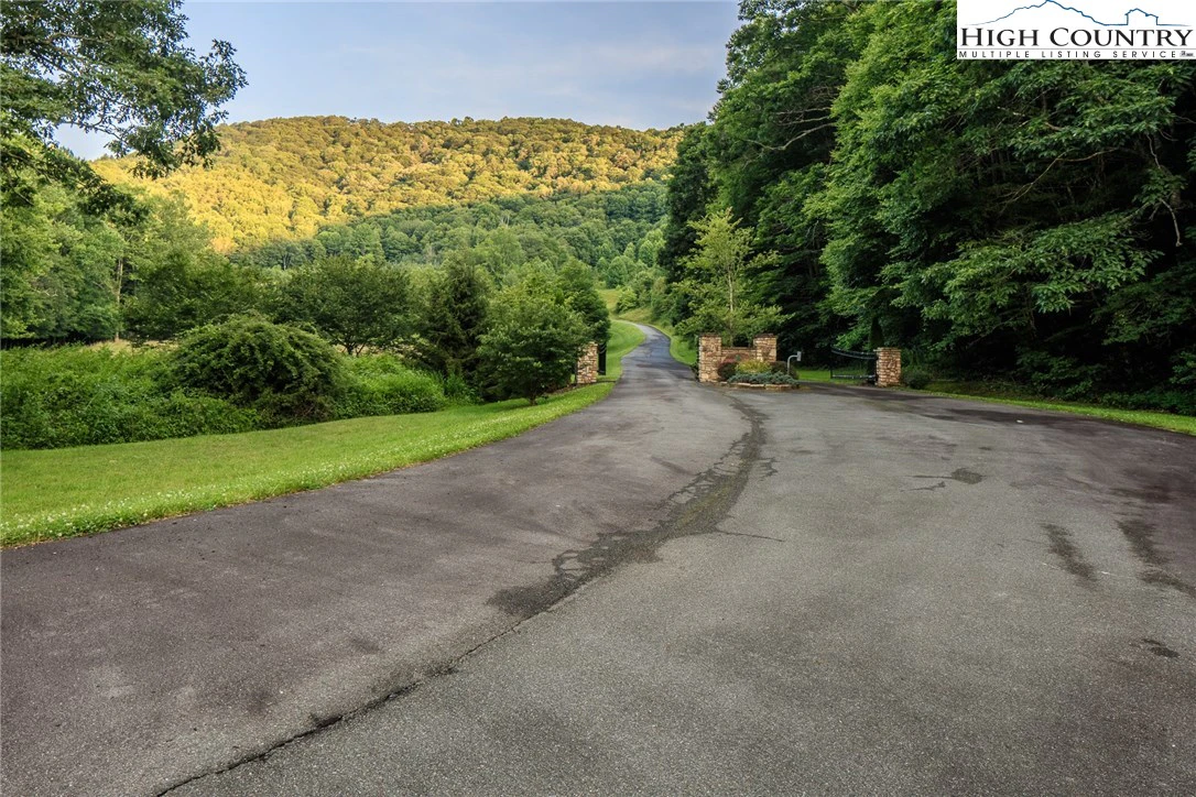 Image number 7 for the current listing