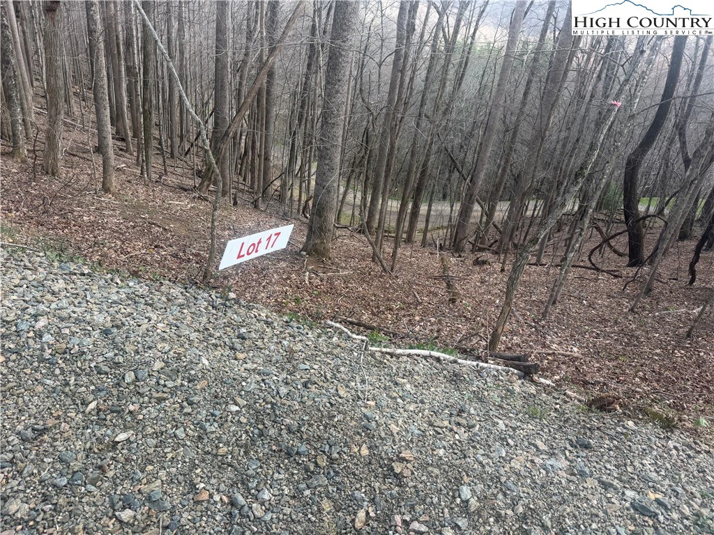 Image number 14 for the current listing