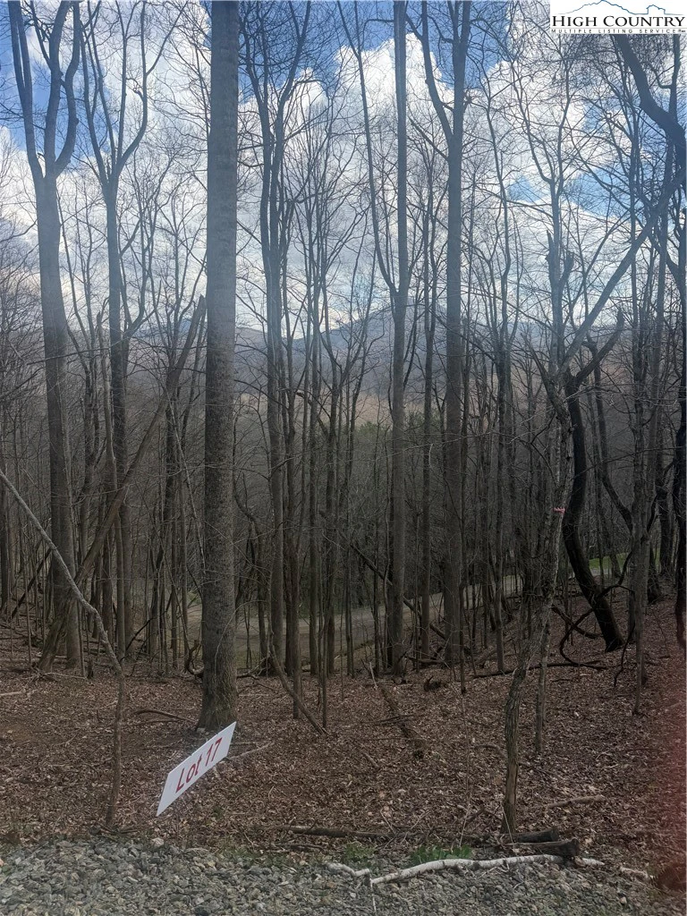 Image number 13 for the current listing
