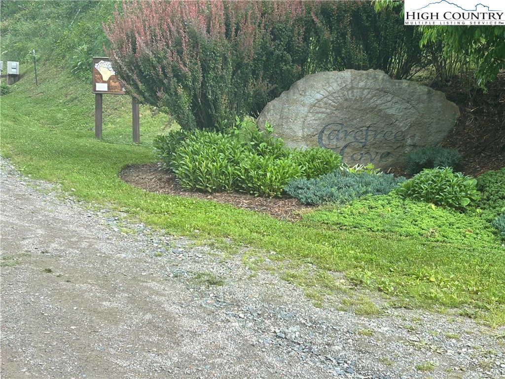 Image number 11 for the current listing