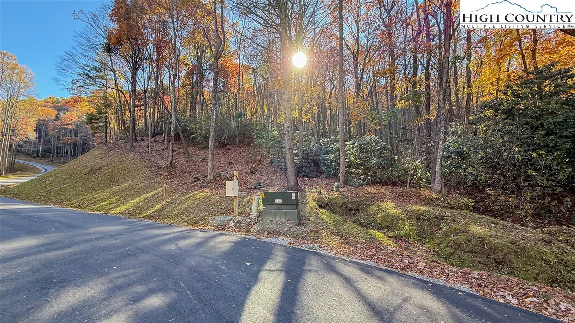 Image number 1 for the current listing