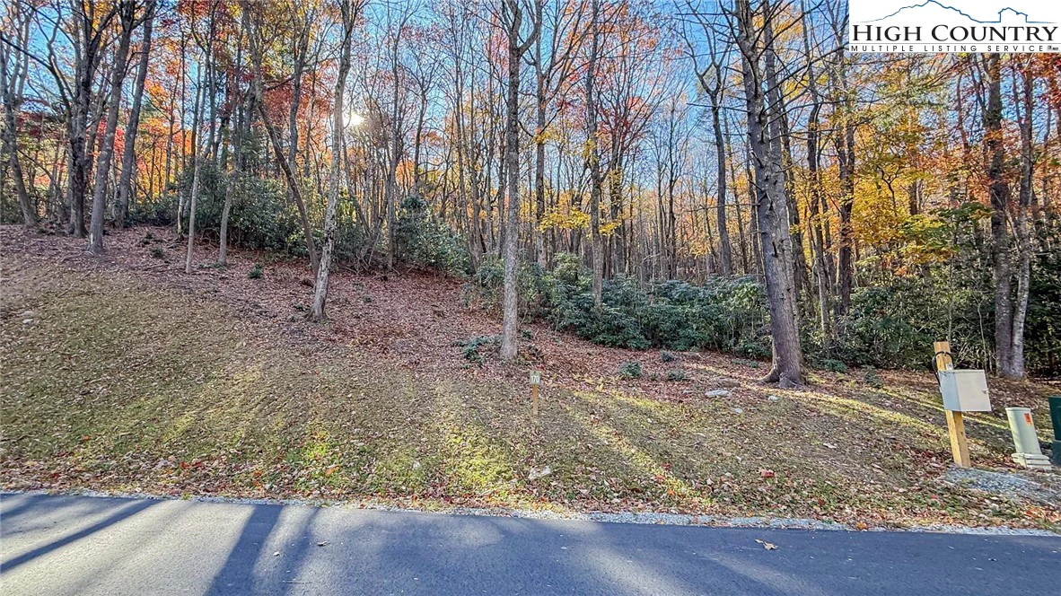 Image number 18 for the current listing
