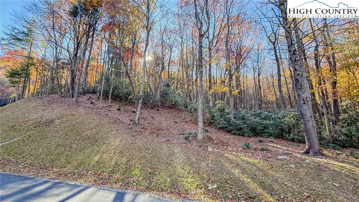 Image number 2 for the current listing