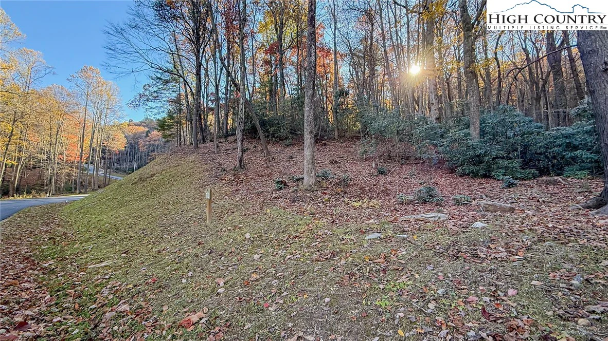 Image number 3 for the current listing