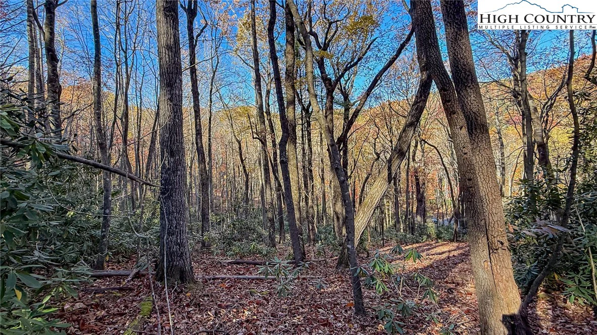Image number 15 for the current listing