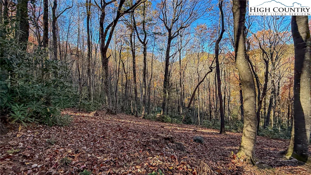 Image number 12 for the current listing