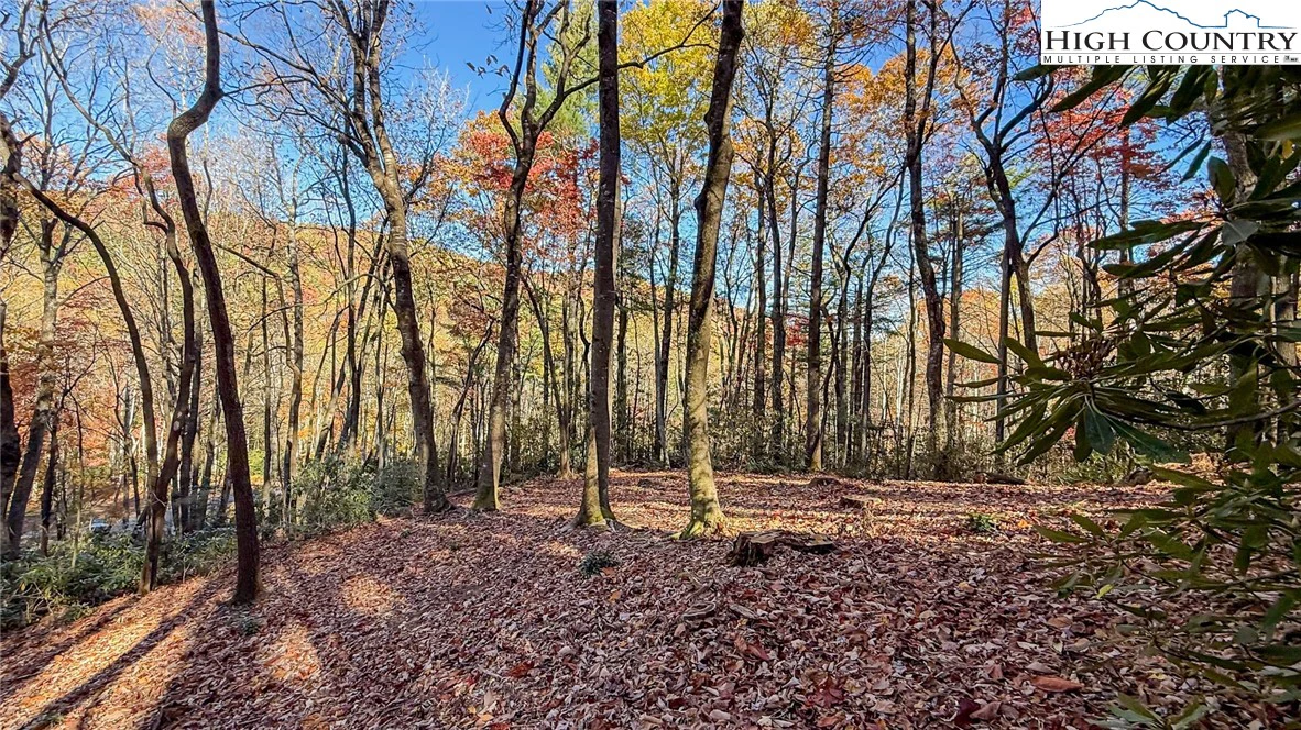 Image number 10 for the current listing