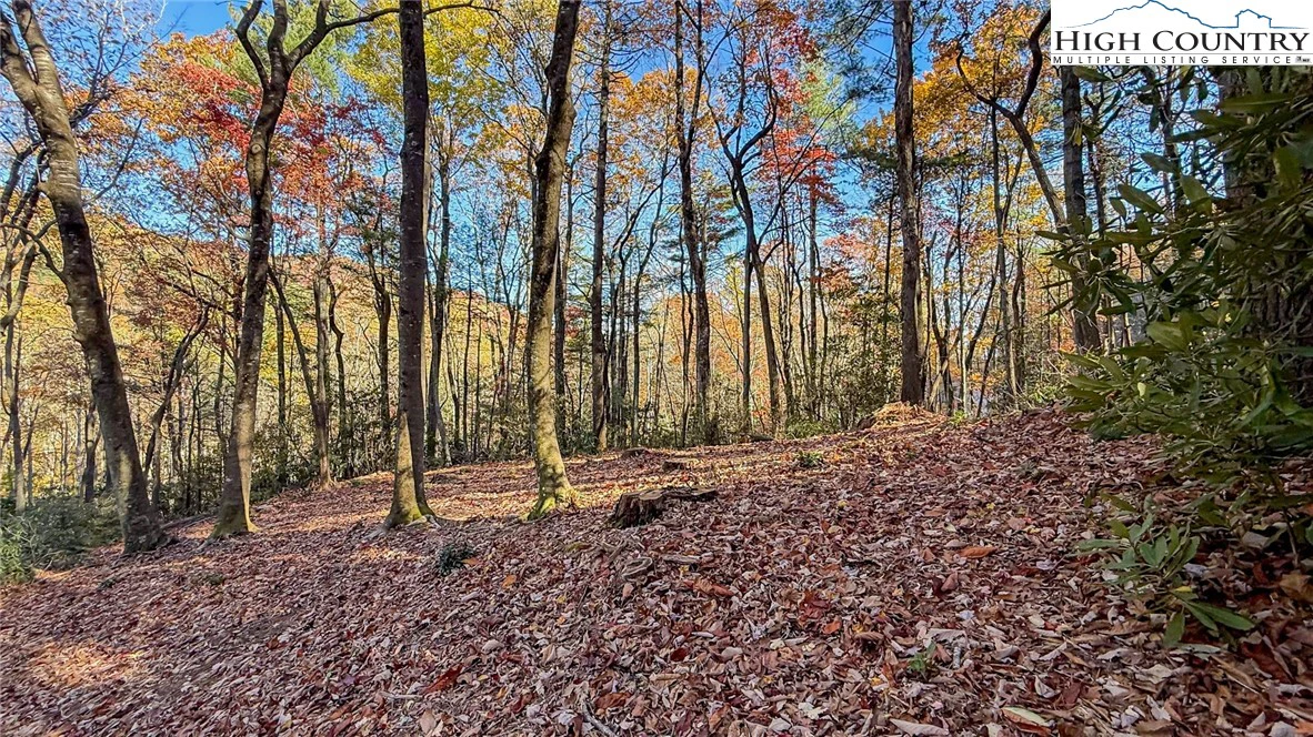 Image number 9 for the current listing