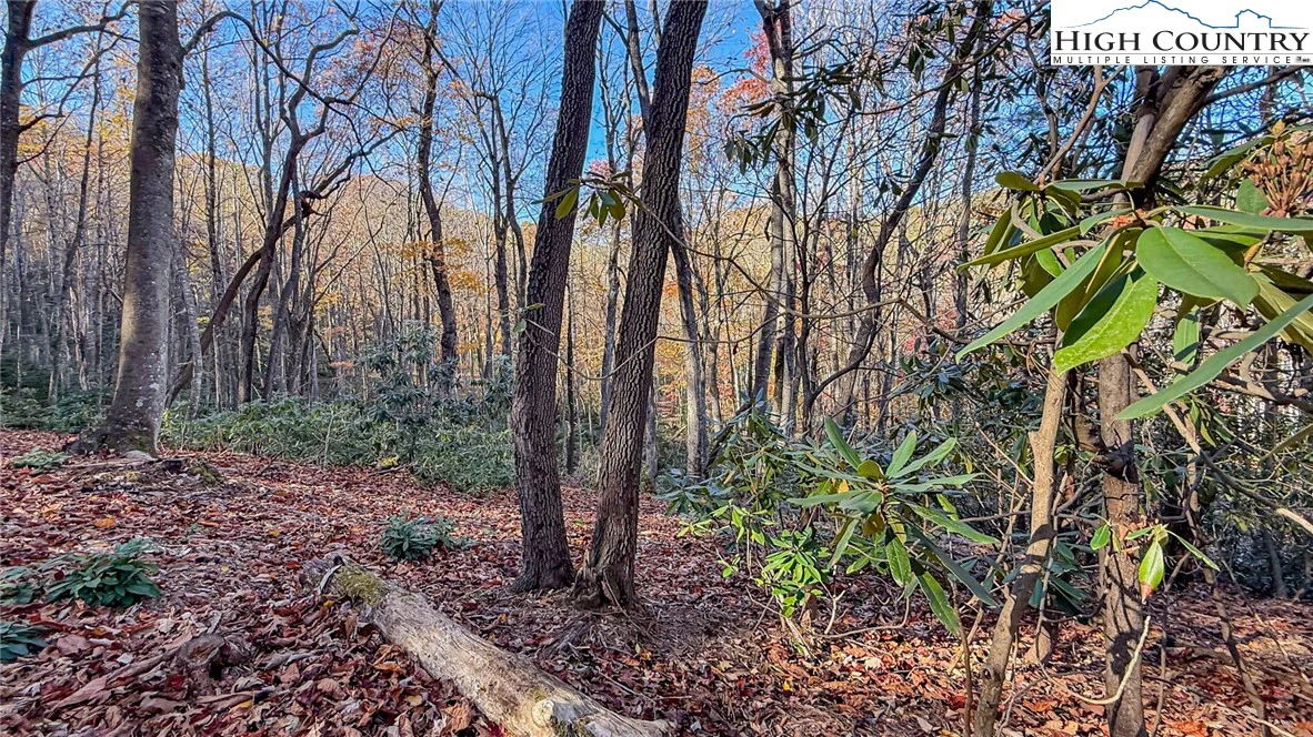Image number 8 for the current listing