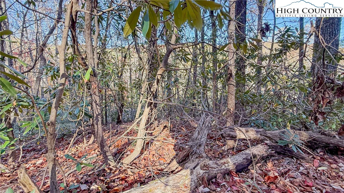 Image number 7 for the current listing