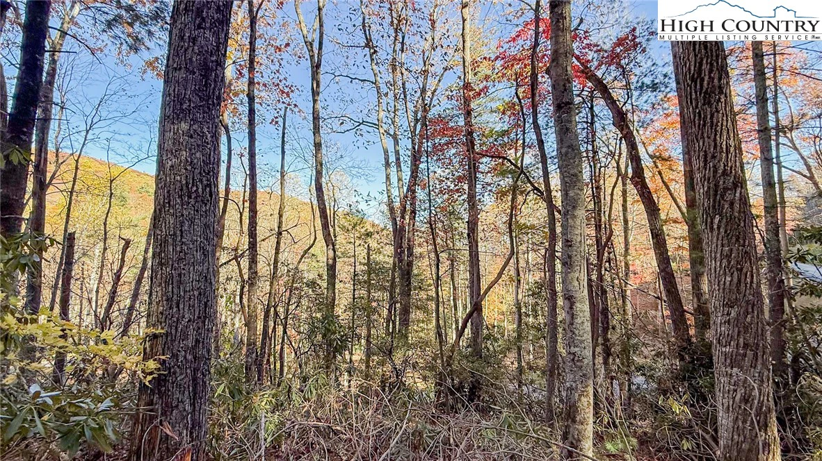 Image number 6 for the current listing