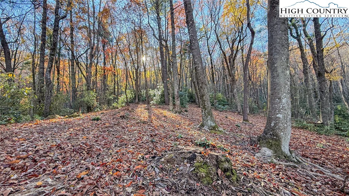 Image number 5 for the current listing