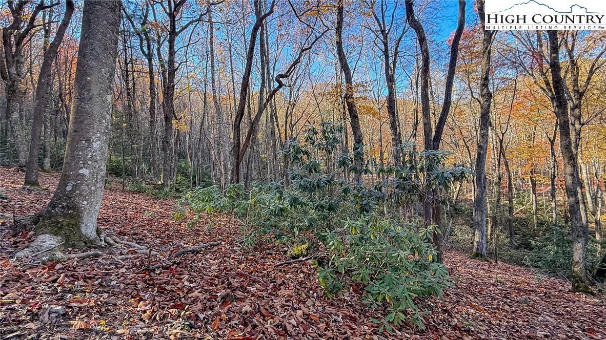 Image number 4 for the current listing