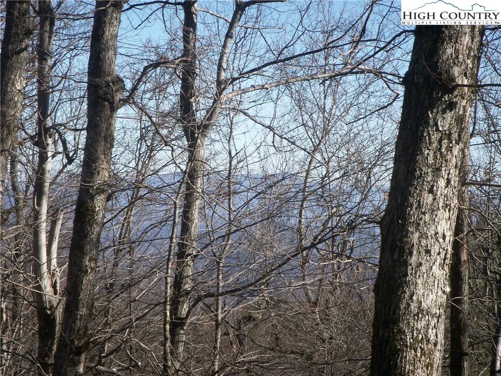 Image number 3 for the current listing