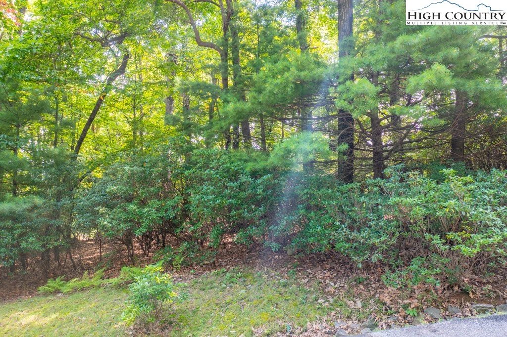 Image number 5 for the current listing