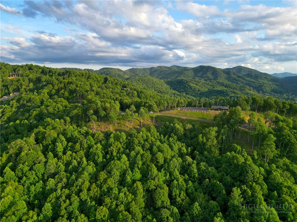 Image number 7 for the current listing