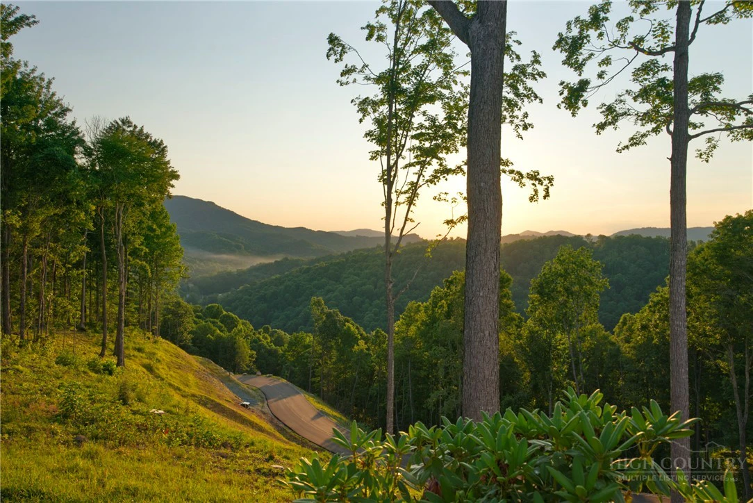 Image number 4 for the current listing