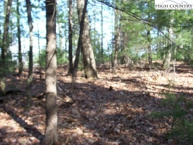 Image number 5 for the current listing
