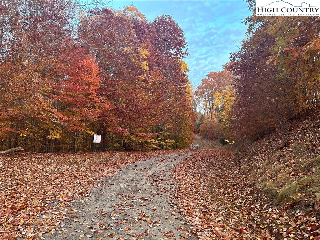 Image number 2 for the current listing