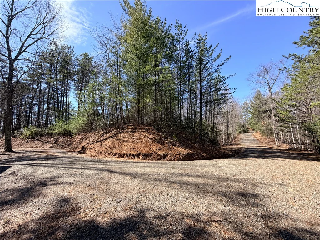 Image number 13 for the current listing