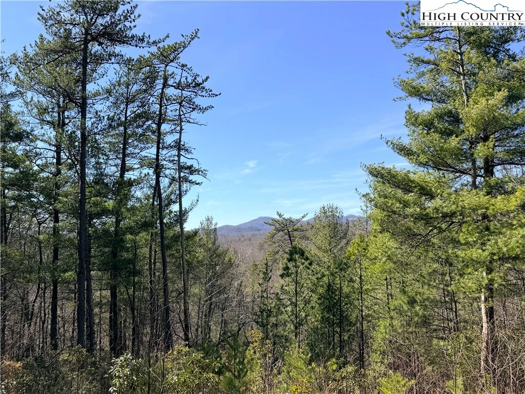 Image number 1 for the current listing