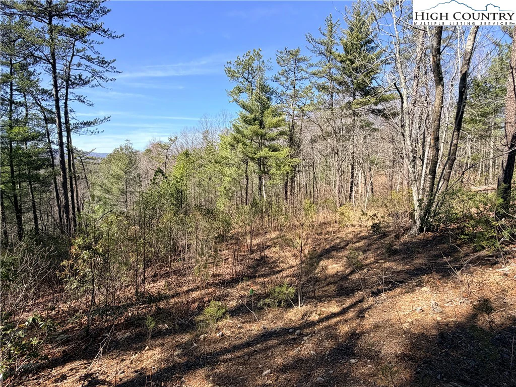 Image number 17 for the current listing