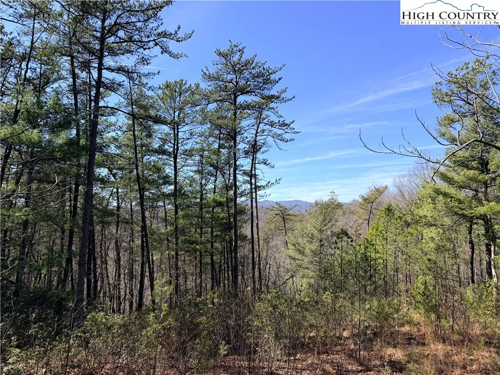 Image number 16 for the current listing