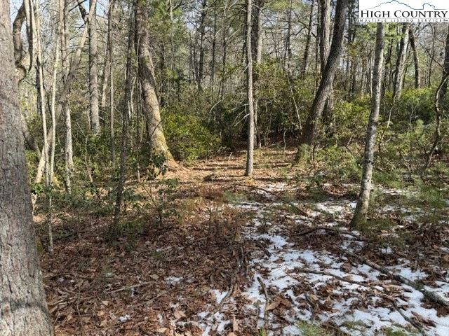 Image number 1 for the current listing
