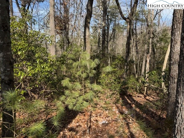 Image number 3 for the current listing