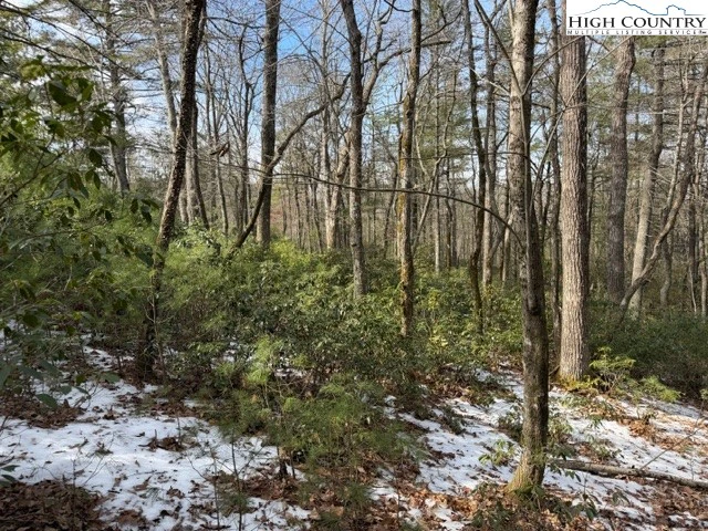 Image number 4 for the current listing