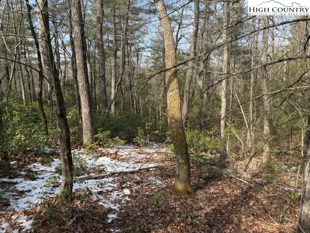 Image number 5 for the current listing