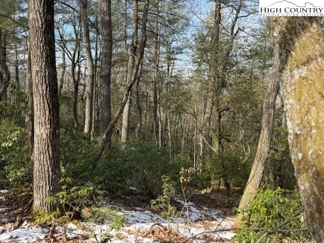 Image number 6 for the current listing