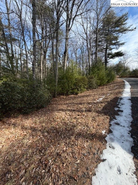 Image number 8 for the current listing