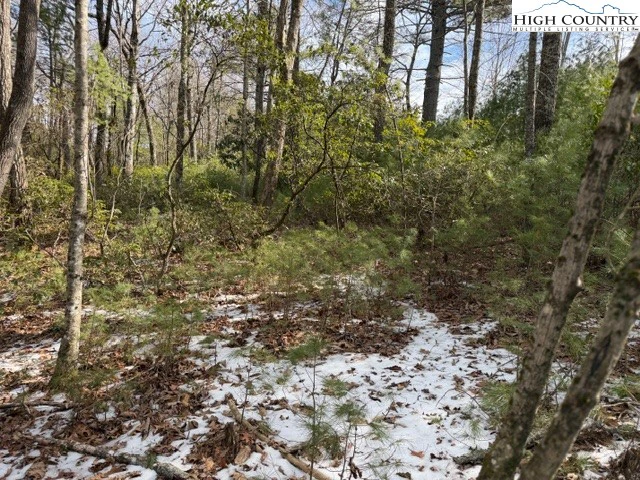 Image number 9 for the current listing