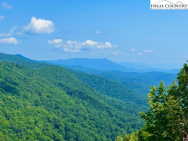 Image number 1 for the current listing
