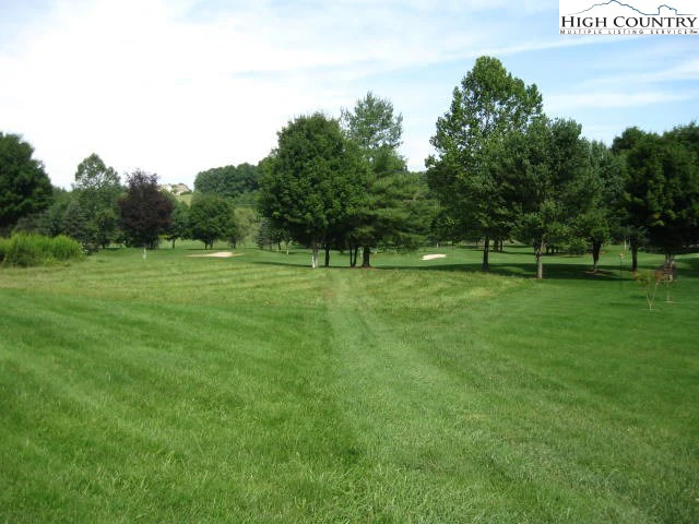 Image number 1 for the current listing