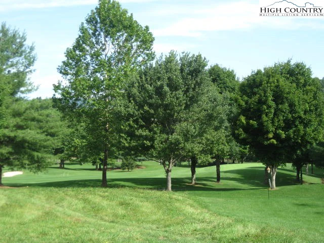 Image number 3 for the current listing