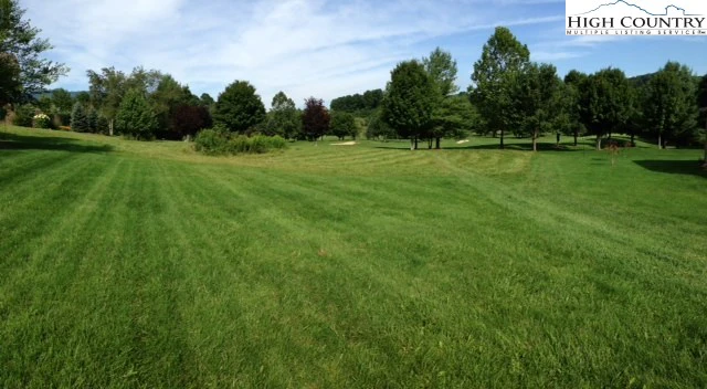 Image number 4 for the current listing