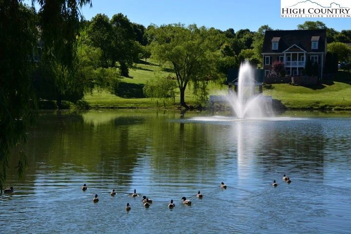 Image number 10 for the current listing
