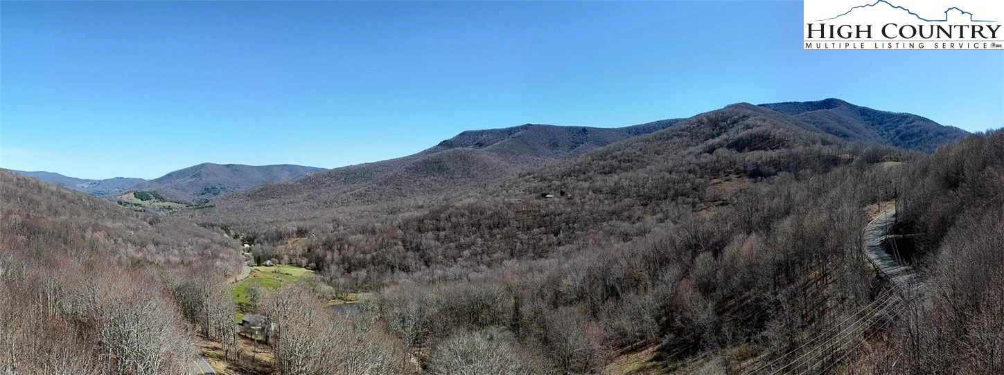 Image number 1 for the current listing