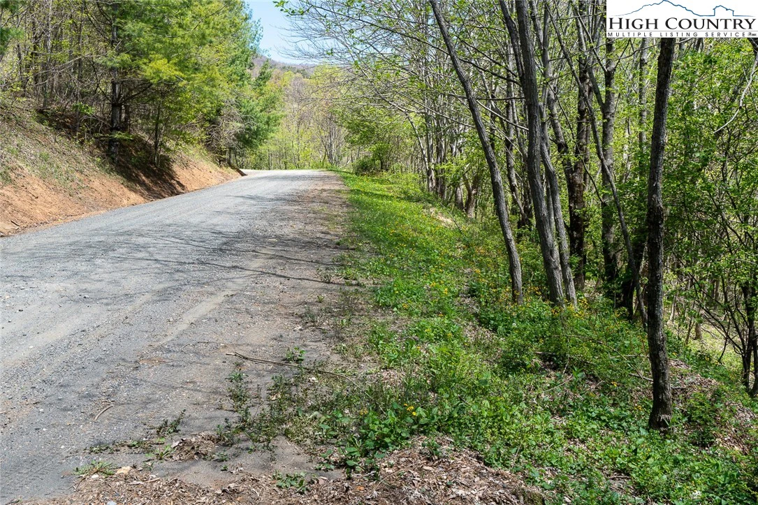 Image number 4 for the current listing