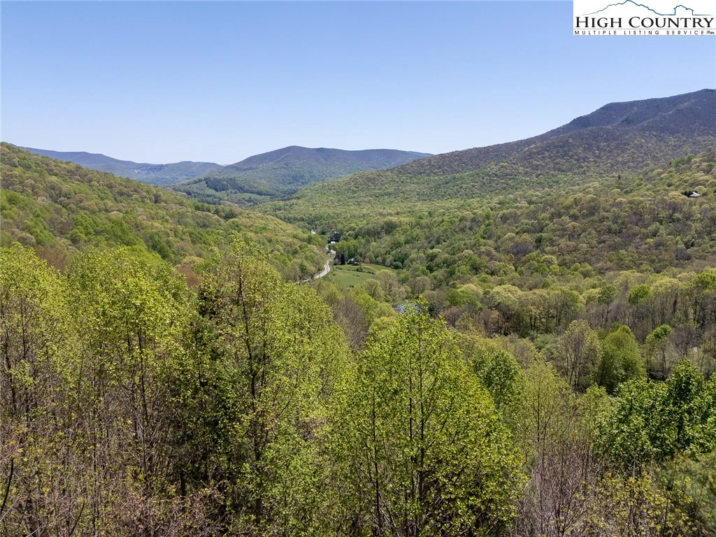 Image number 6 for the current listing