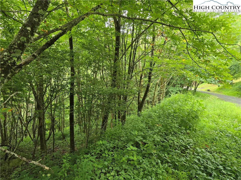 Image number 10 for the current listing