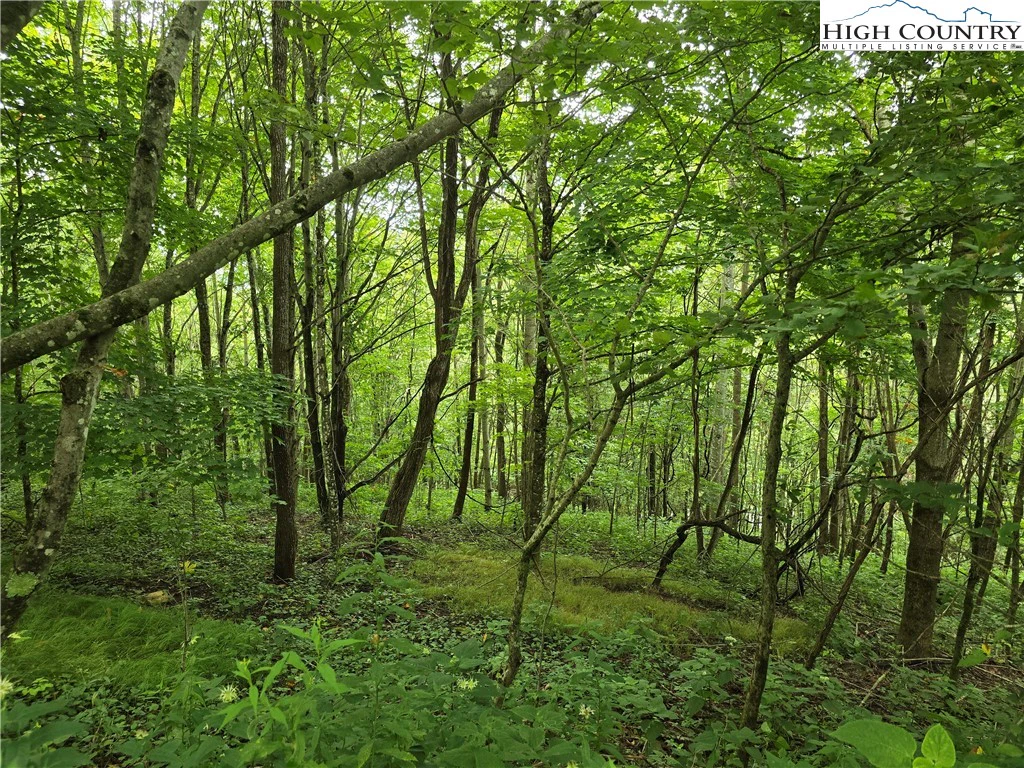 Image number 3 for the current listing